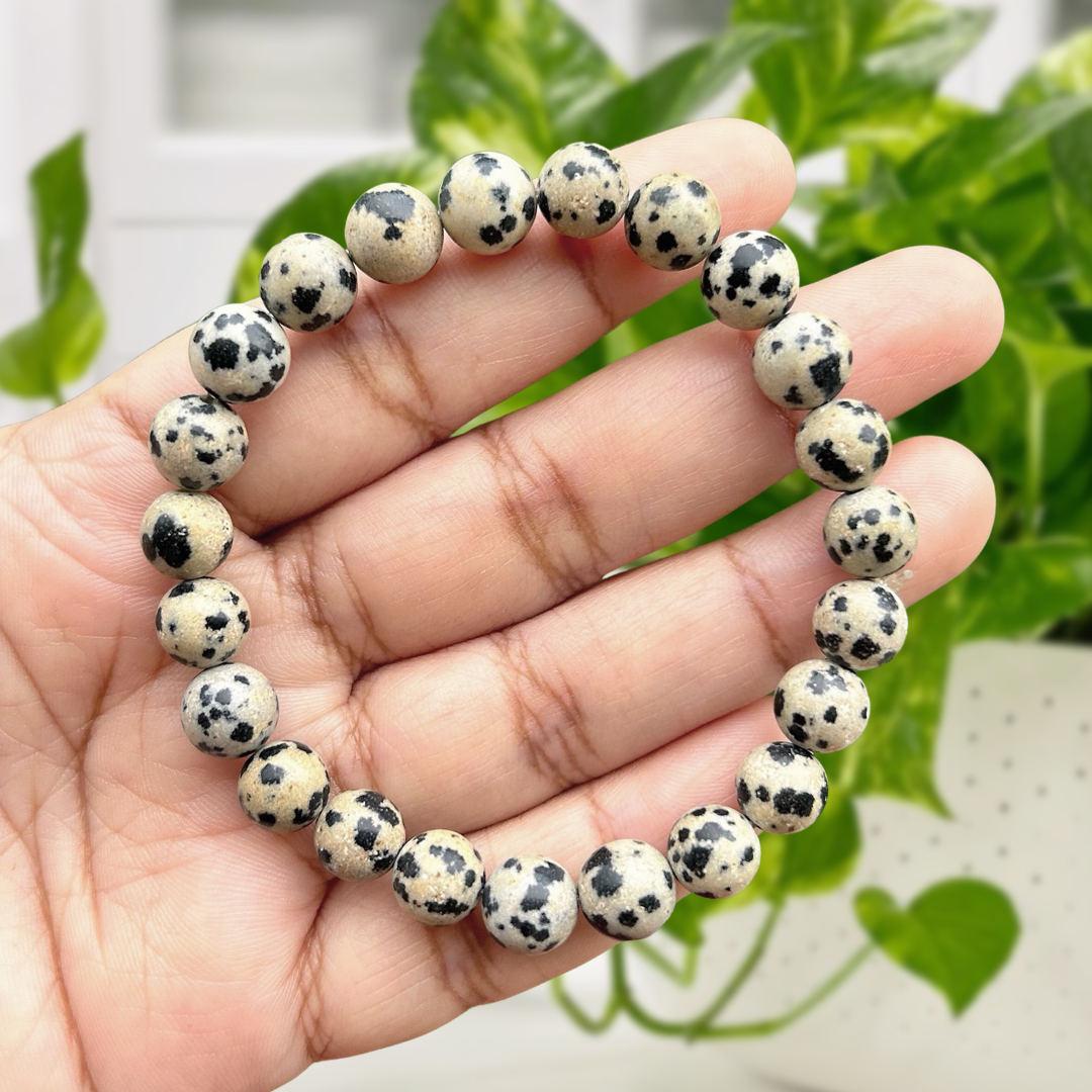 Dalmatian Jasper Gemstone Bracelet – Forever Stoned TT