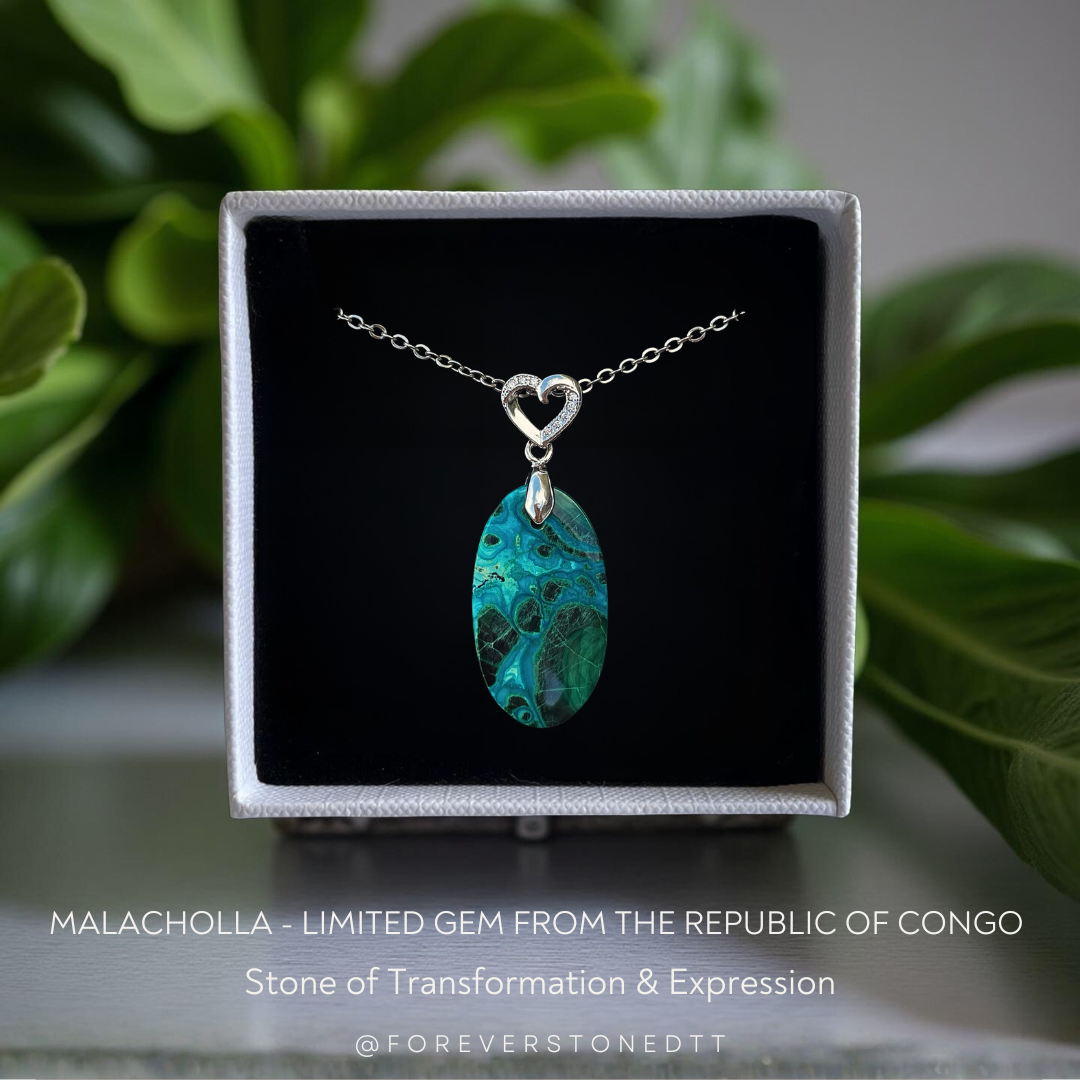 Malacholla Pendant - Limited Gem from the Democratic Republic of Congo