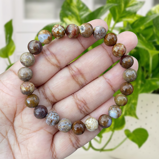 Petrified Wood Gemstone Bracelet