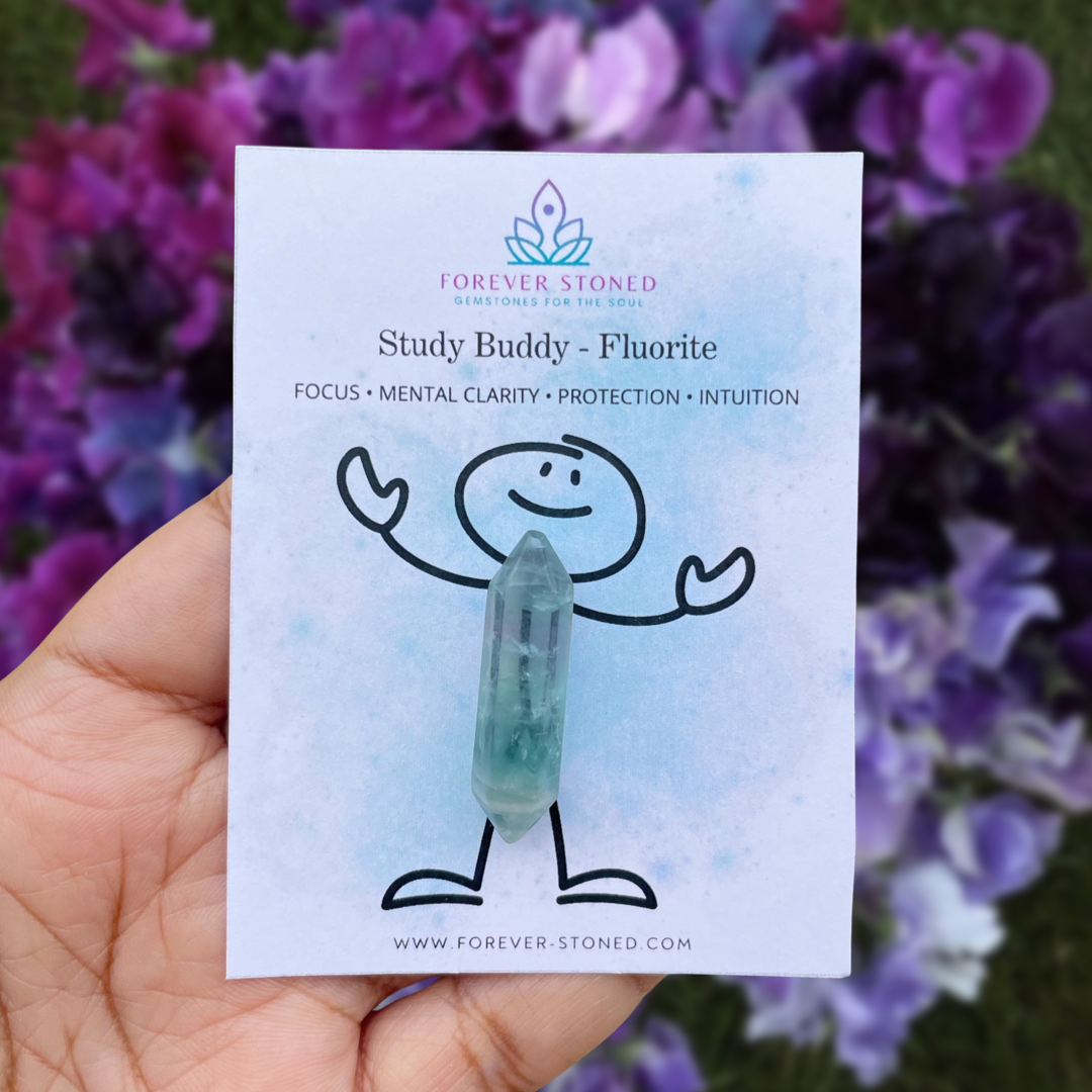 Study Buddy - Fluorite Pocket Stone