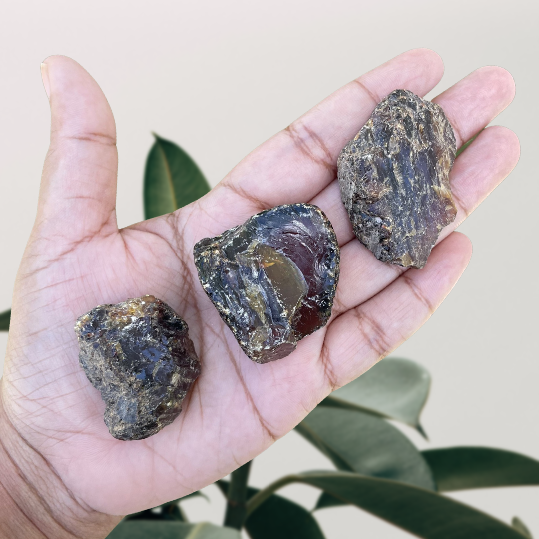Sumatran Black Amber Raw Nugget